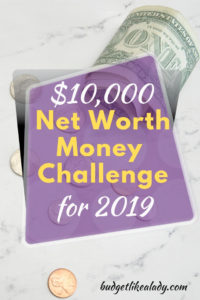 $10K Net Worth Money Challenge for 2019